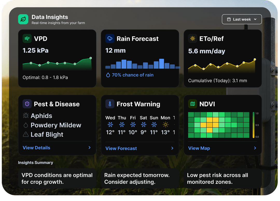 Data Insights & Analytics