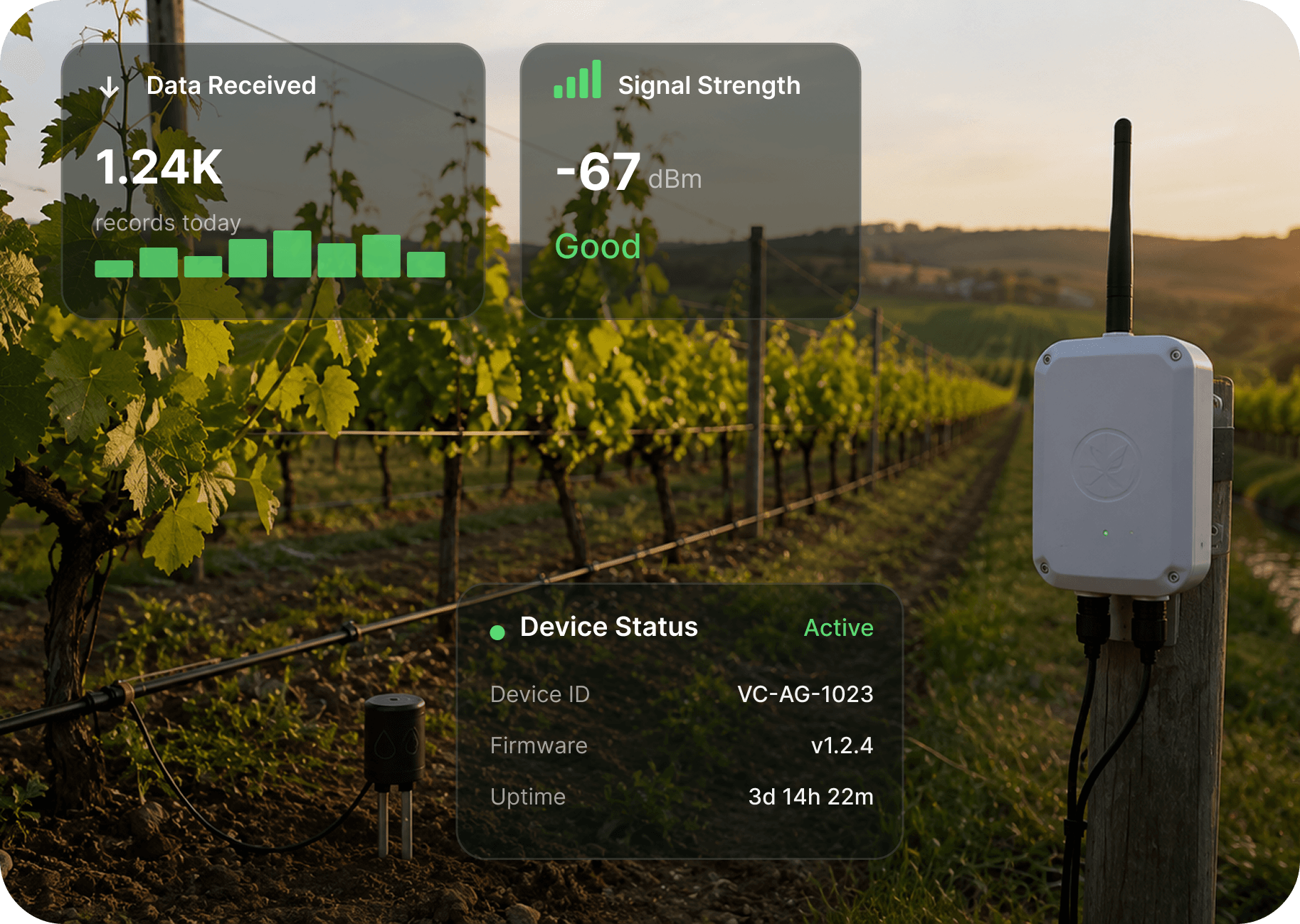 Device Connectivity & Data Collection