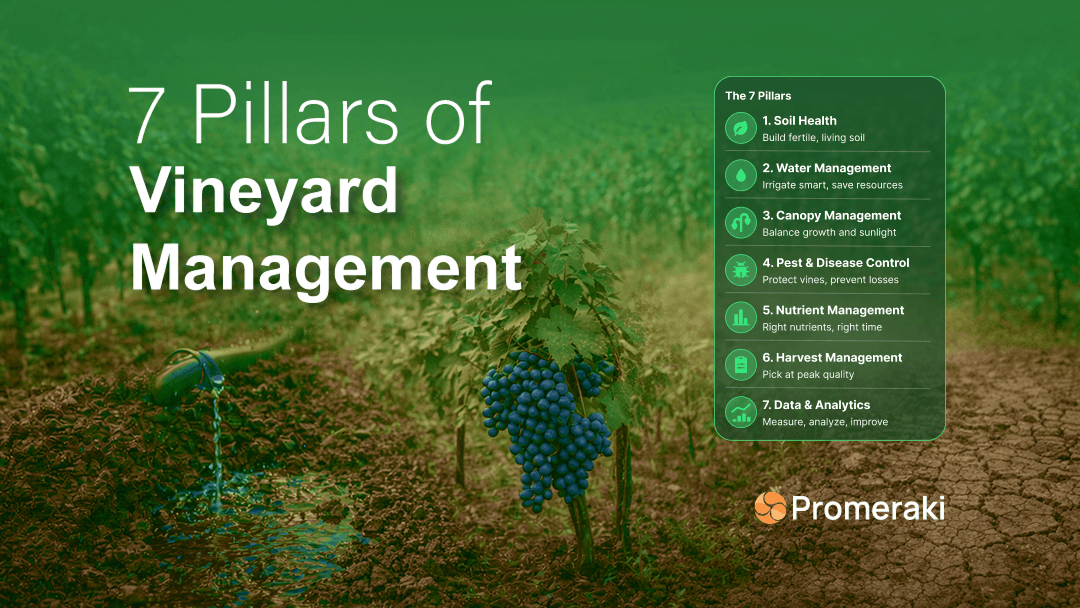 pillars of vineyard management and viticulture