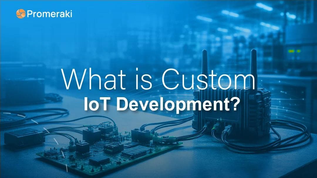 What is custom iot development