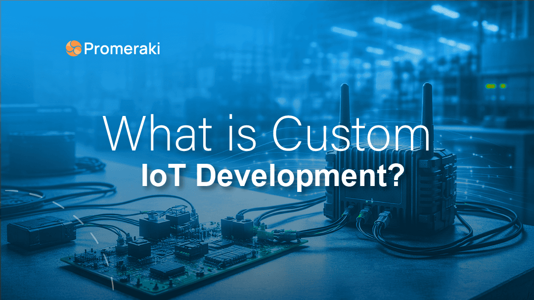 What is custom iot development