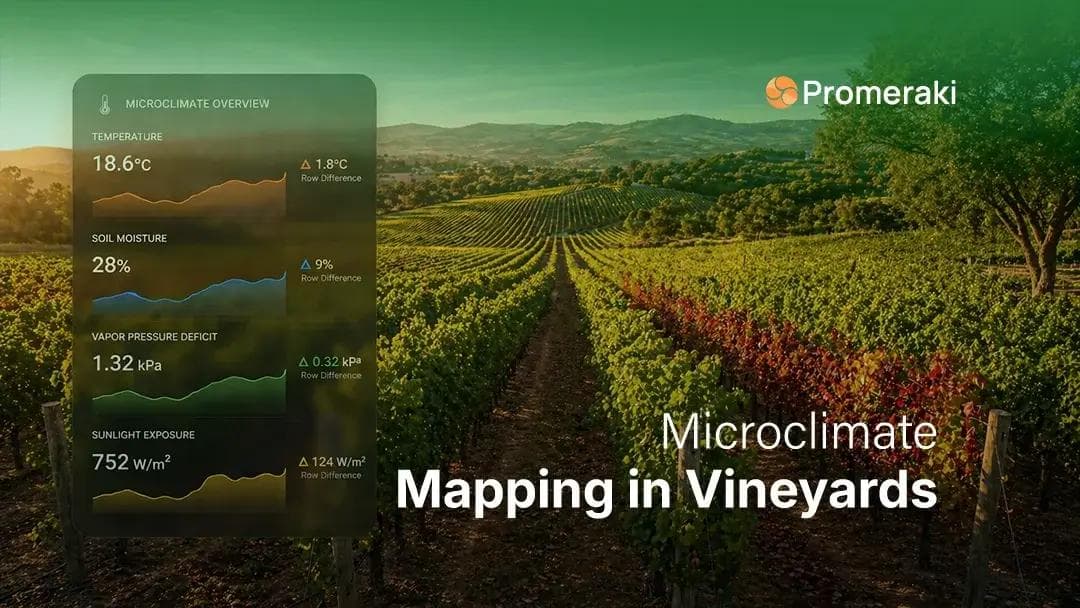 Microclimate Mapping in Vineyards